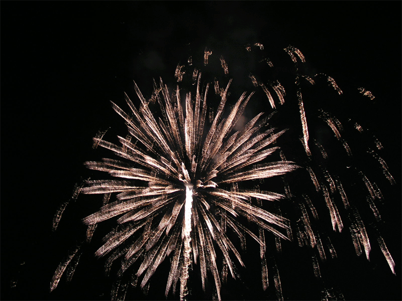 fireworks gif animated. Fireworks.gif