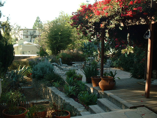 Backyard2003.gif
