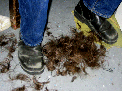 HairFloor.gif