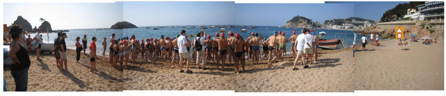 SwimRace4big.gif